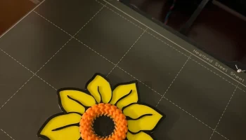 Sun Flower 1