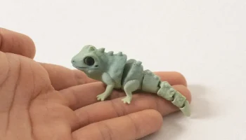 Симпатичная игуана