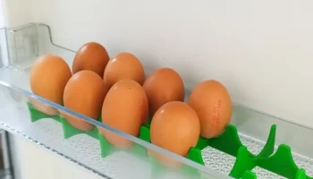 Лоток в холодильник