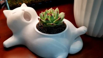 Плантер в виде кошки (кашпо) 1