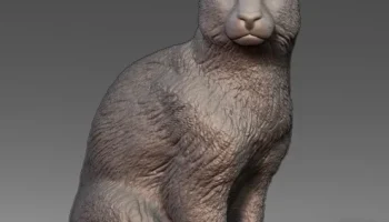Сидящий кот Сидящий кот