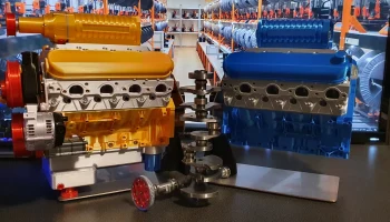 LS3 Желтая птица 4