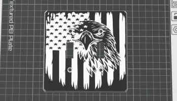 Двойной выключатель света Eagle с американским флагом....... 1