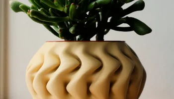 Pot 9