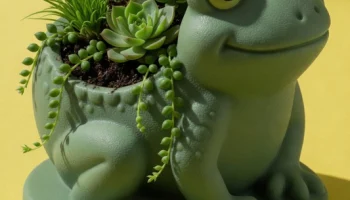 Горшок для суккулентов в виде лягушки Kawaii, горшок для ... 2