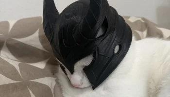 Helmet Cat 2
