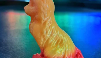 Cat 2