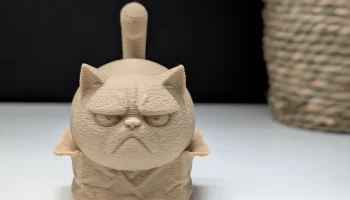 Сердитый кот "в" коробке 1
