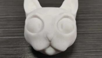 Cat head