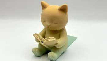 Читающий кошачий форзац 4