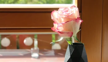 Vase 1