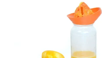 Orangenpresse от Сэмюэля Бернье, Projekt RE_