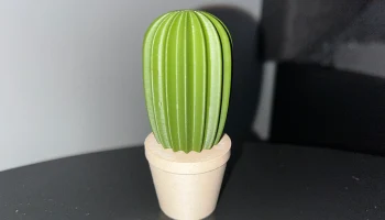 Cactus set 5