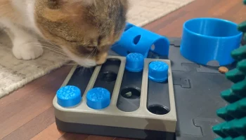 Игрушка-слайдер для кошки, игровая доска... 2
