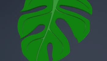 Print-a-plant - растение Монстера для печати 7