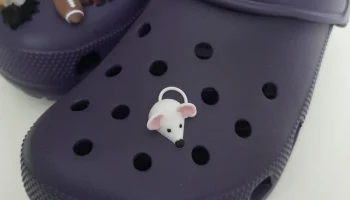 Очаровательная мышь Crocs