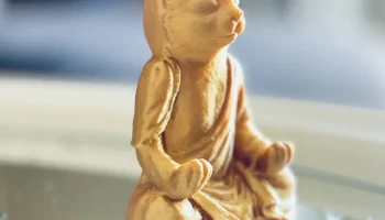 Кот/Котенок Монах 1