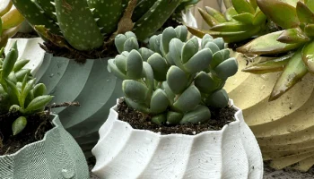 Коллекция витых горшков для растений (5 сортов) 3
