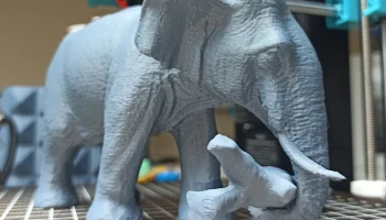 Elephant 4