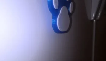 Paw Print 4