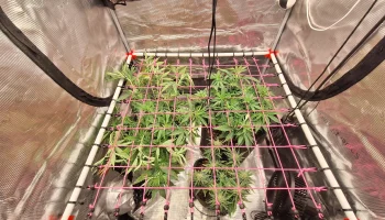 Экран Зеленый (ScrOG) Детали своими руками для трубы 20 м..
