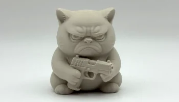 Сердитый кот с ружьем 4