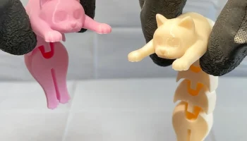 Flexi Holding Cat (печать на месте) 7
