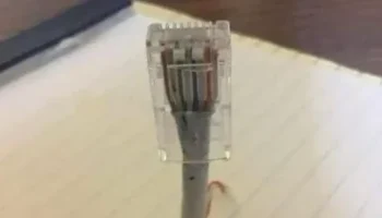 Компьютерный вирус 1