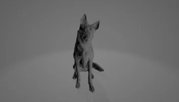 Псина из Fallout 4 1