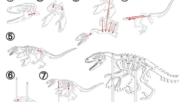 Набор 3Dino Puzzle Museum DX, том 2 8