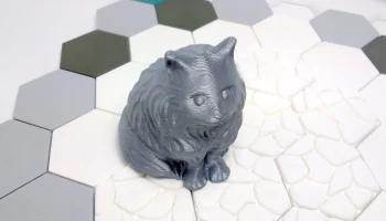 Fluffy Cat Fluffy Cat