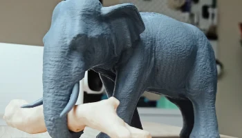 Elephant 1