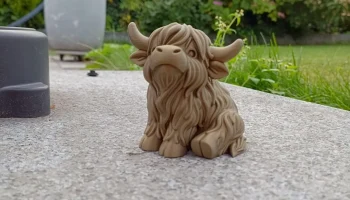 Chonky Highland Cow - лохматая рогатая милашка......... 2