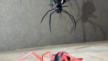 Хэллоуинский паук - модульная 3D-печать (тело, ноги и доп.. 1