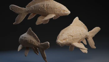 Koi Fish Koi Fish