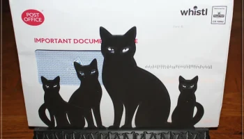 Cat Stand 5