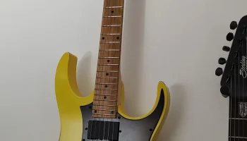 Замена накладки Vester (например, Ibanez RG)...... 3