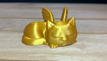 Cat Angel