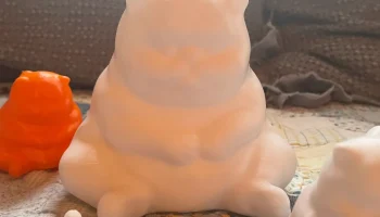 chubby cat