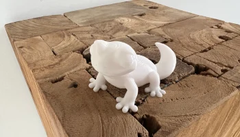 Cute Gecko 1