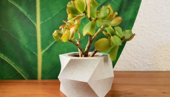 Коллекция цветочных горшков Blocky Planter #1