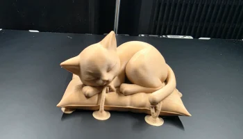 Спящий кот на подушке 6