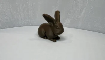 Маленький кролик 1