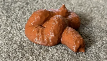 Prank poop 1