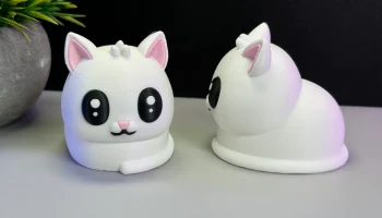 Cute Cat 3