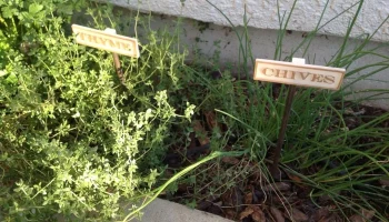 Herb Signs 6