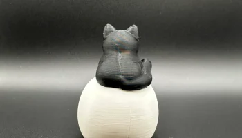 Черная кошка на черепе 3