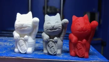 Крышка клапана Money Cat Schrader