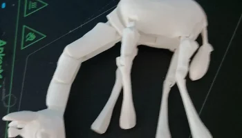 Giraffe 2
