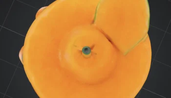 Миниатюрная модель Mr. Orange, многоцветная печать !!!!!!... 1